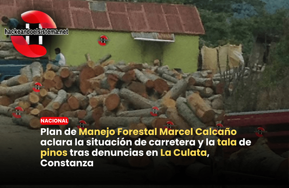 Plan de Manejo Forestal Marcel Calcaño aclara la situación de carretera y la tala de pinos tras denuncias en La Culata, Constanza