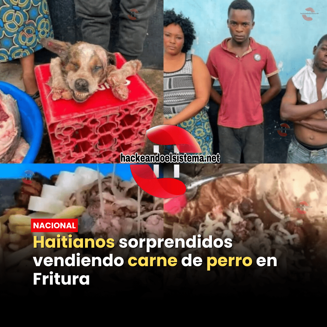 Haitianos sorprendidos vendiendo carne de perro en Fritura