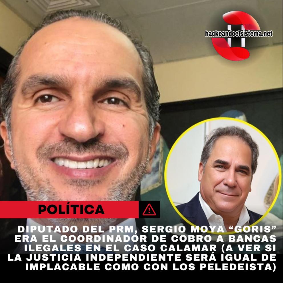 Diputado del PRM, Sergio Moya “Goris” era el coordinador de cobro a bancas ilegales en el caso Calamar (A ver si la justicia independiente será igual de implacable como con los peledeista)