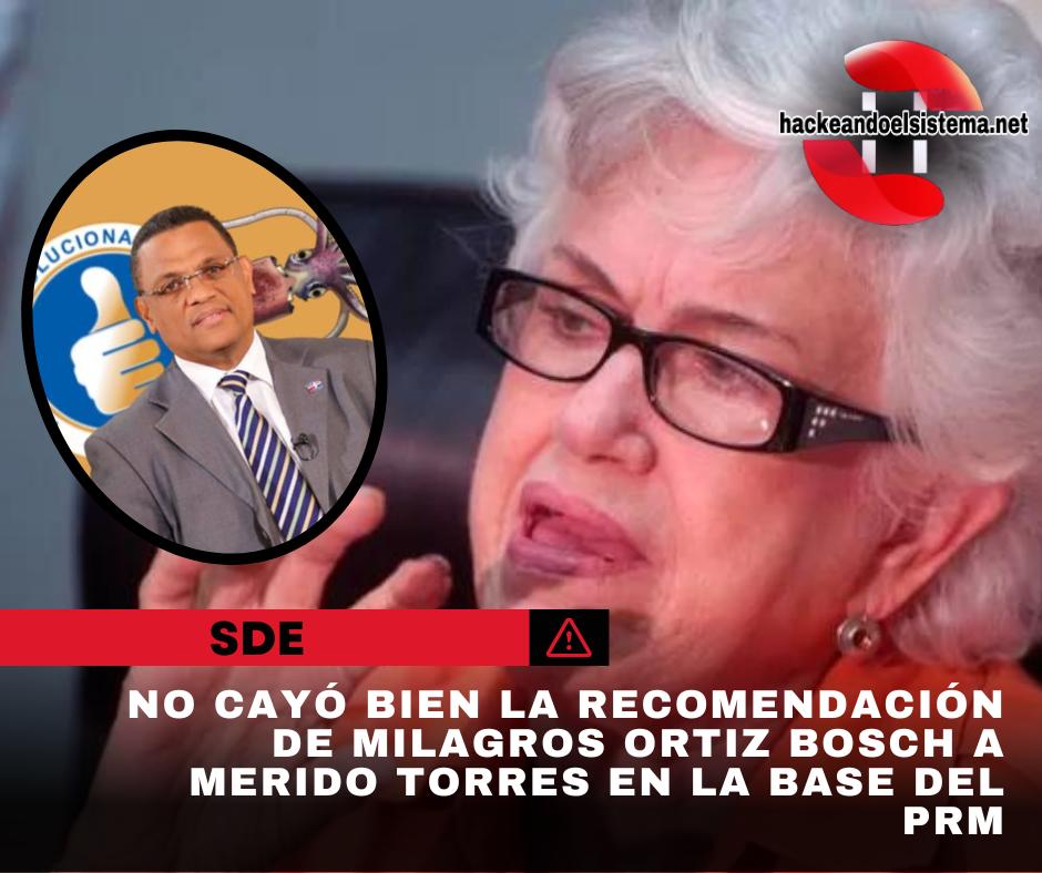 No cayó bien la recomendación de Milagros Ortiz Bosch a Merido Torres en la base del PRM