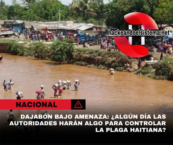 Dajabón bajo amenaza: ¿Algún día las autoridades harán algo para controlar la plaga haitiana?
