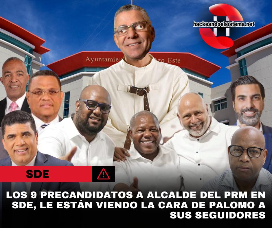 Los 9 precandidatos a alcalde del PRM en SDE, le están viendo la cara de palomo a sus seguidores