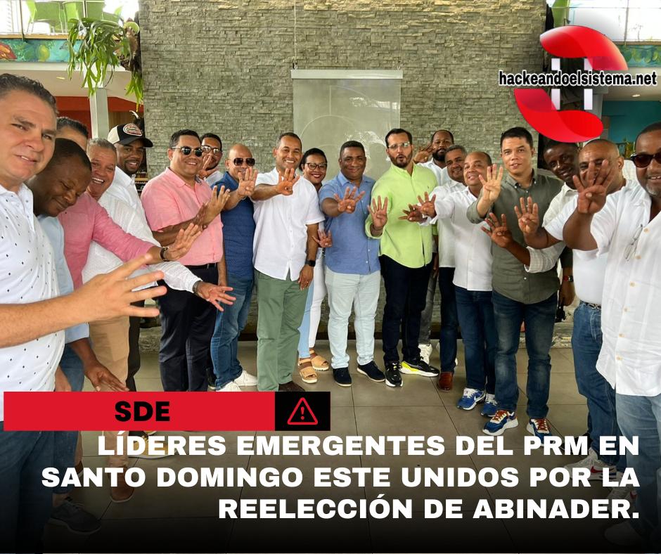 Líderes emergentes del PRM en Santo Domingo Este unidos por la reelección de Abinader.