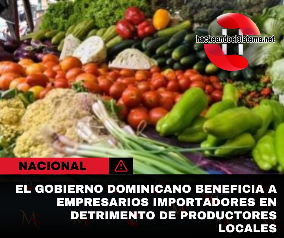 El Gobierno Dominicano Beneficia a Empresarios Importadores en Detrimento de Productores Locales